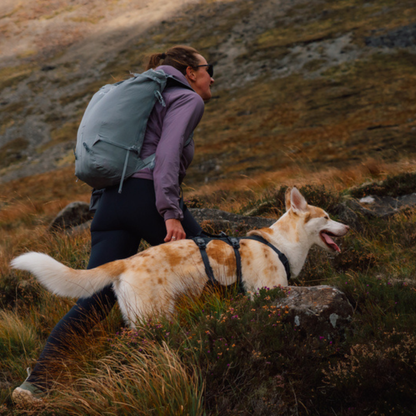 Ridgeline™ Harness