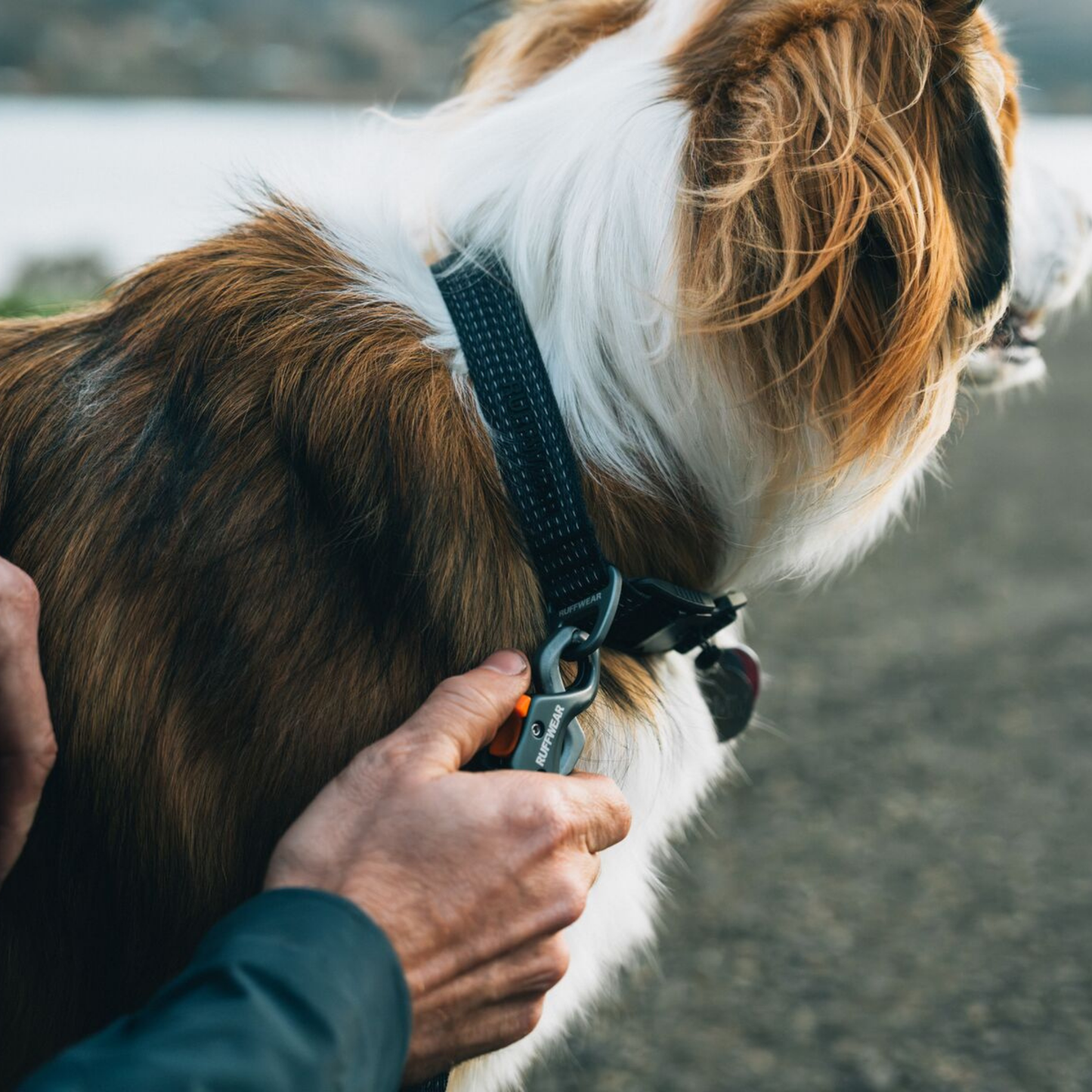 Ridgeline™ Leash