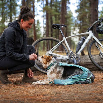 Hitch Hiker™ Dog Backpack Carrier