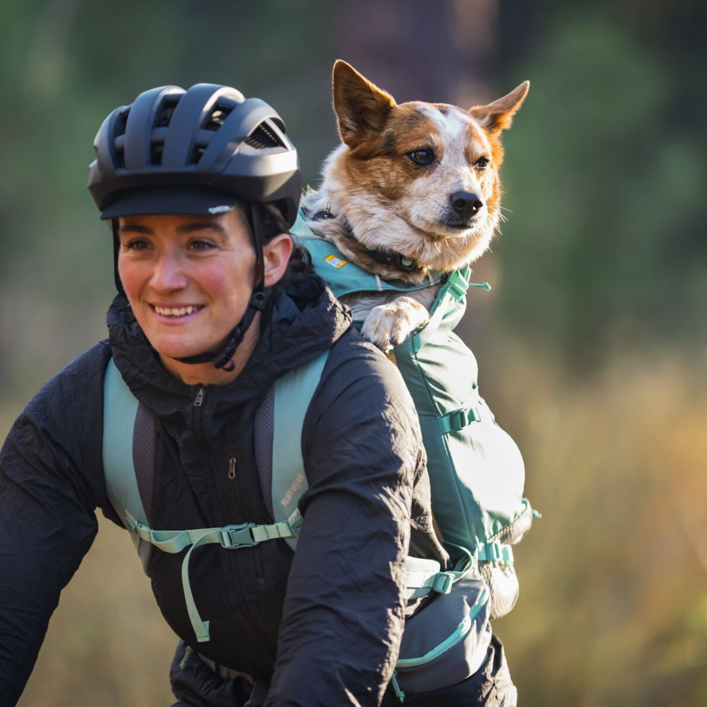 Hitch Hiker™ Dog Backpack Carrier