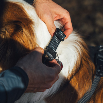 Ridgeline™ Collar