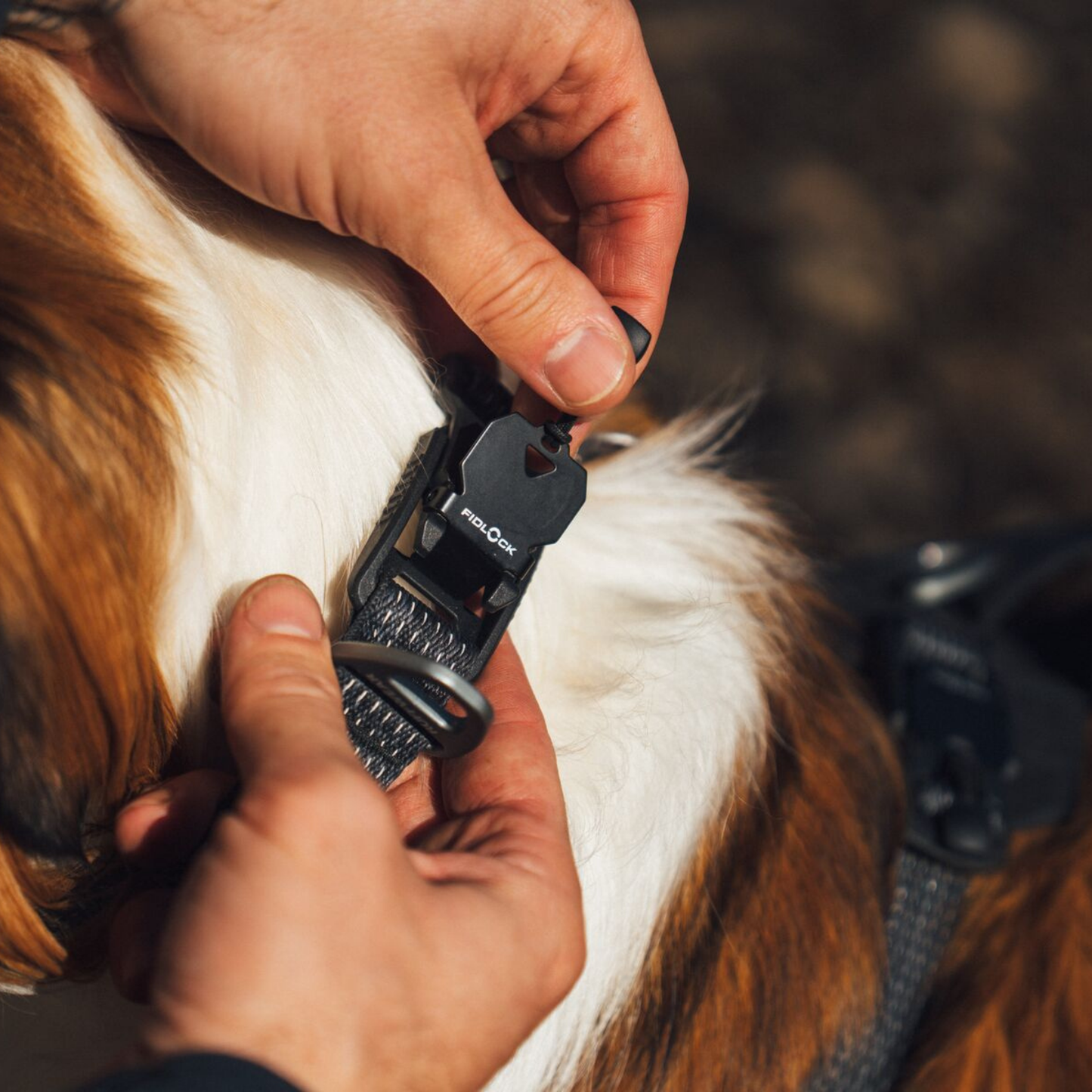 Ridgeline™ Collar