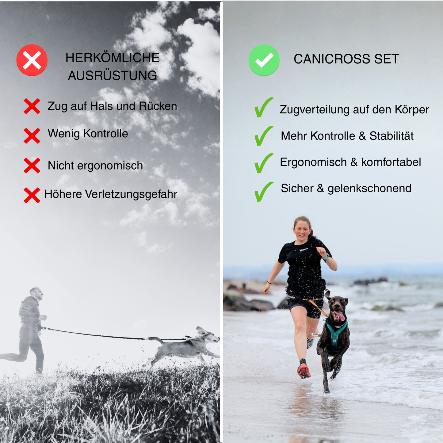 Canicross Starter Set