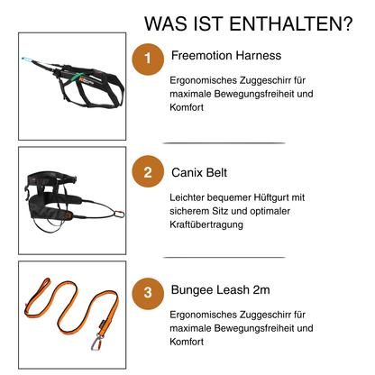 Canicross Starter Set