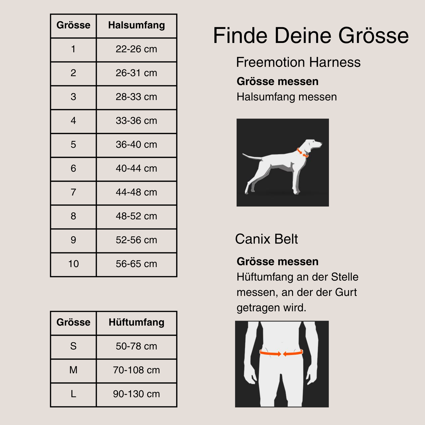 Canicross Starter Set