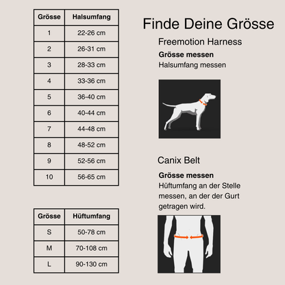 Canicross Starter Set