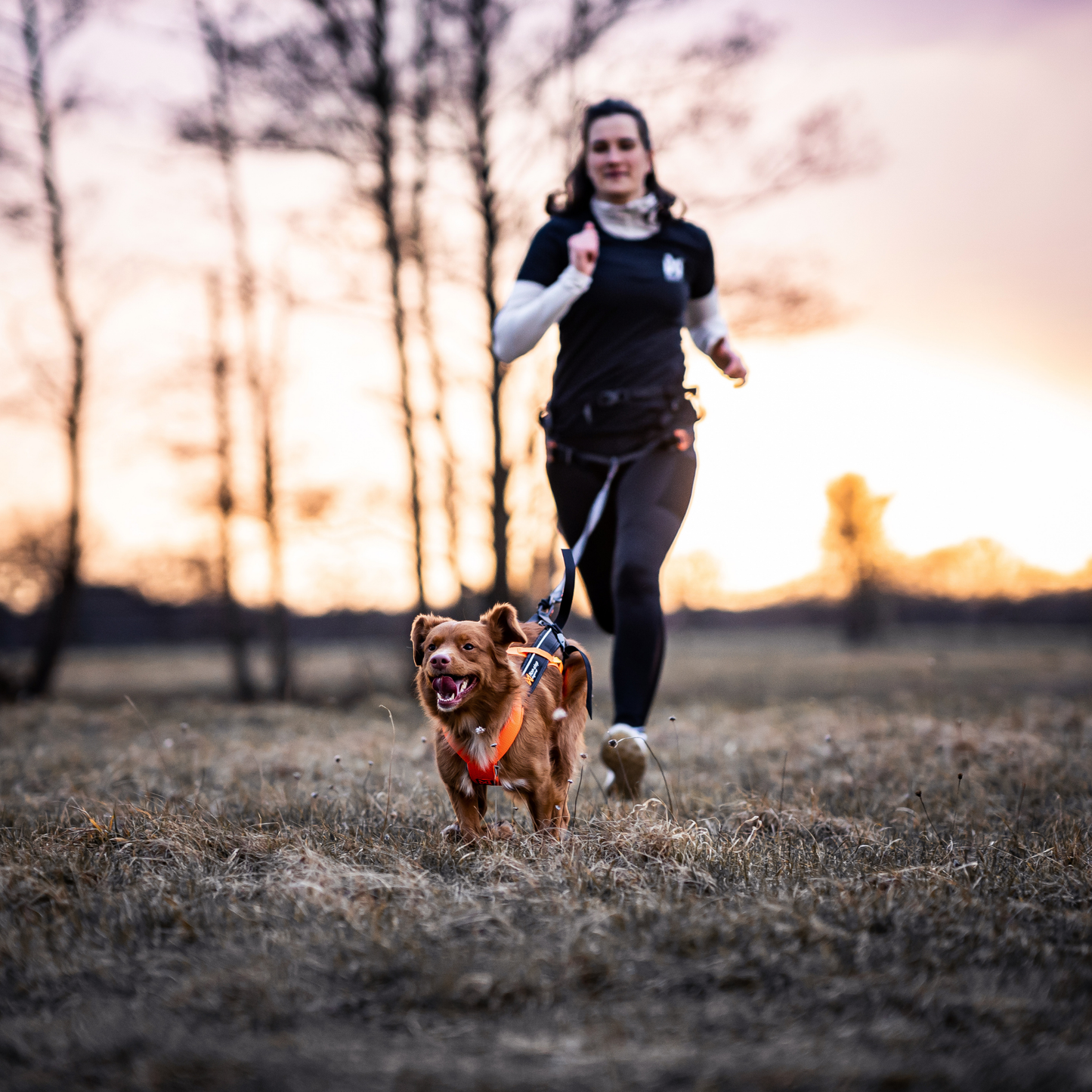 Canicross Set Kleine Hunde
