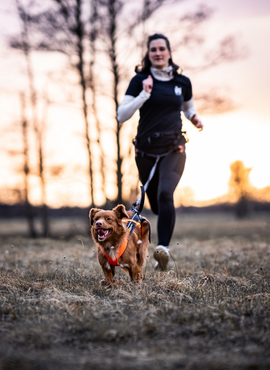 Canicross Set Kleine Hunde
