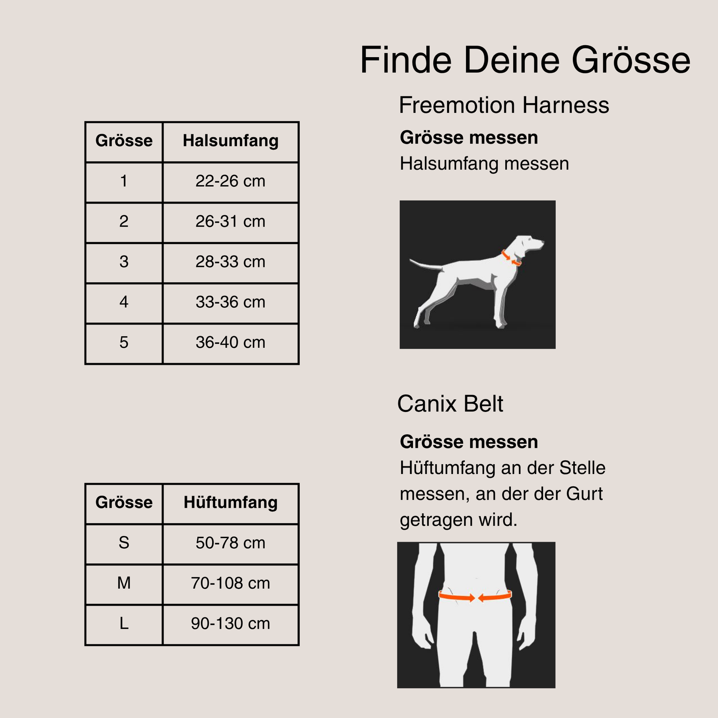 Canicross Set Kleine Hunde