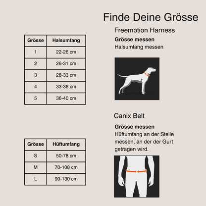 Canicross Set Kleine Hunde