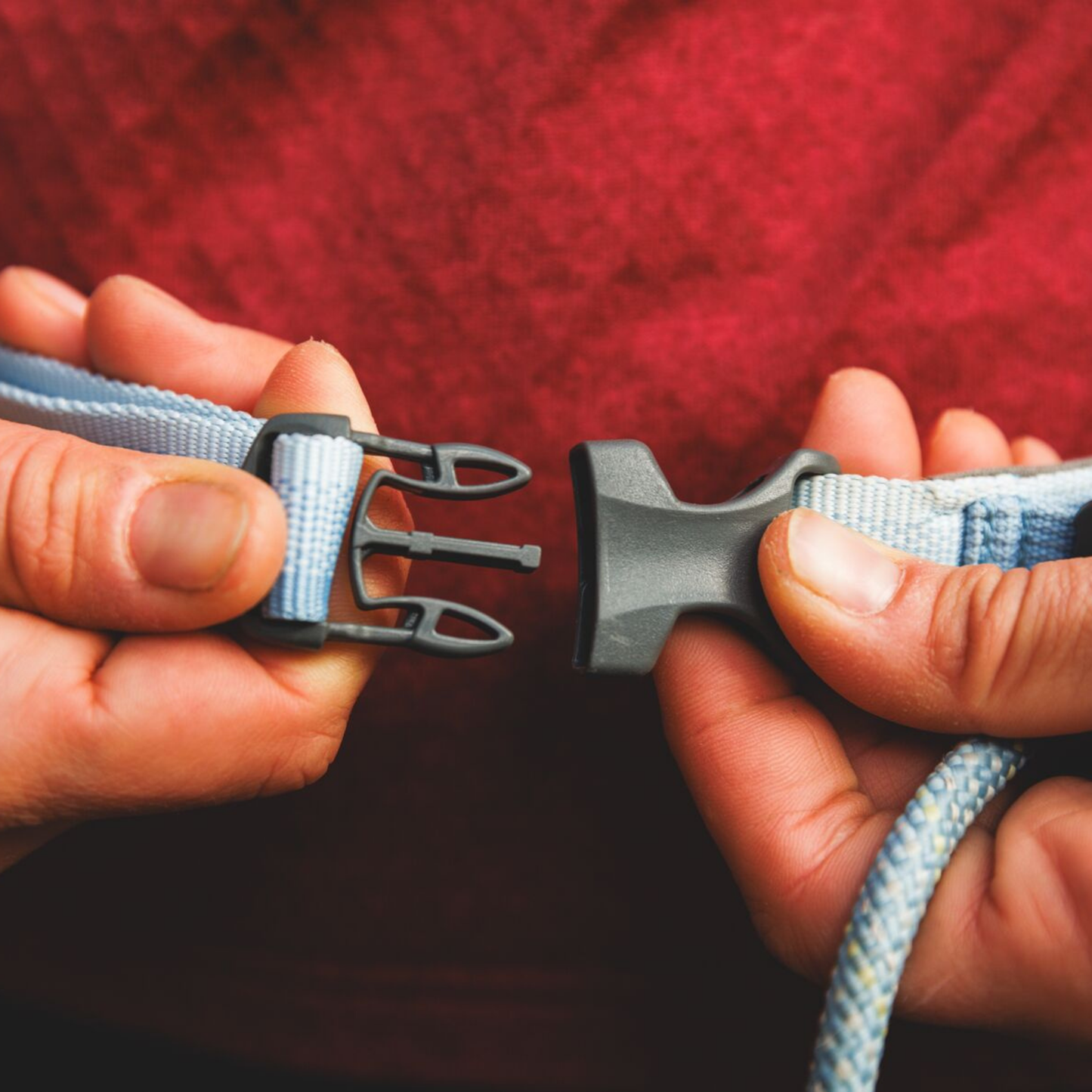 Hitch Hiker™ Leash
