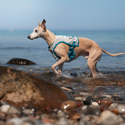 Cooling Vest