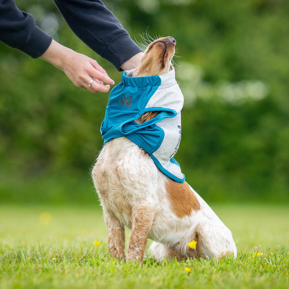 Cooling Pull-On Vest