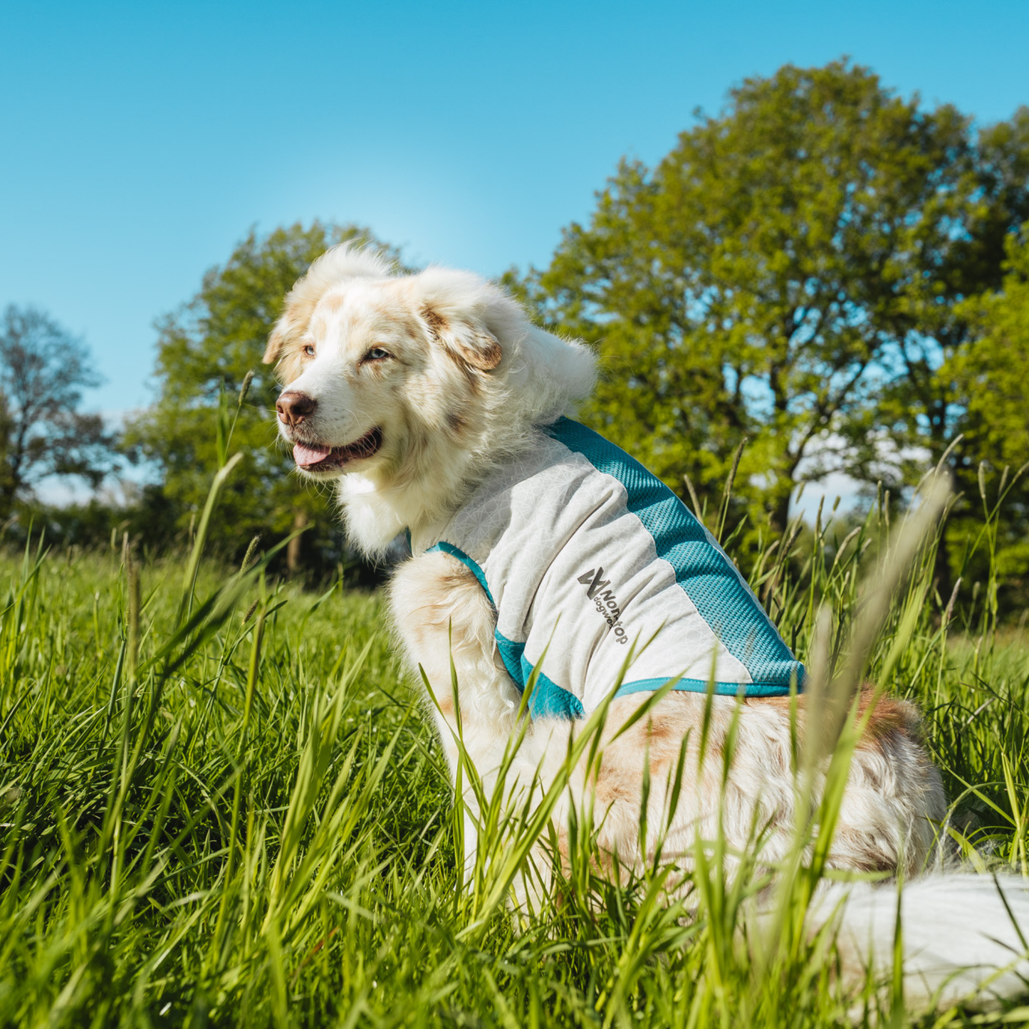 Cooling Pull-On Vest