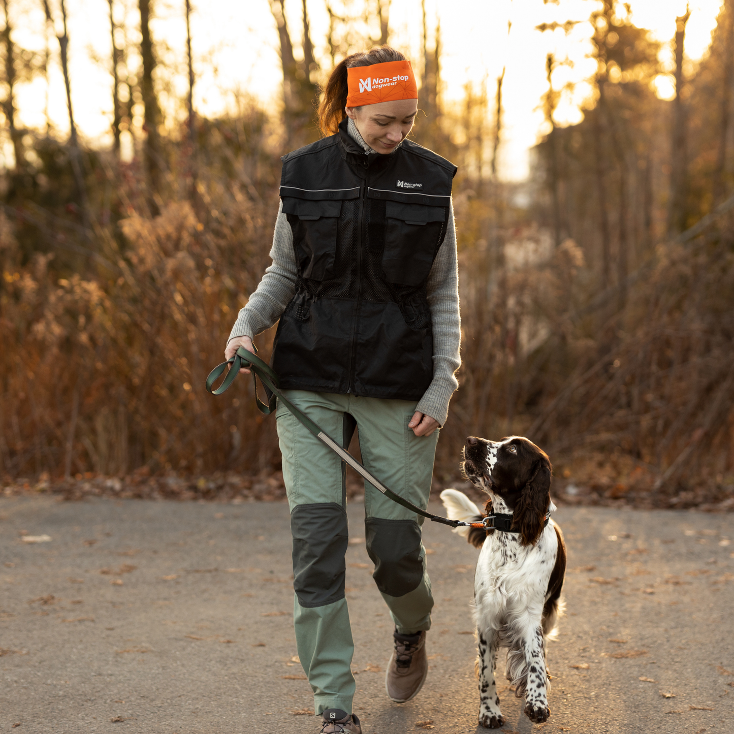 Dog training vest