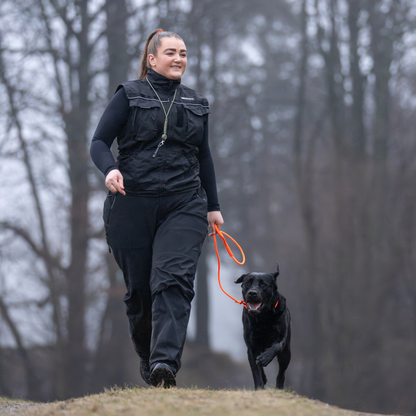 Dog training vest