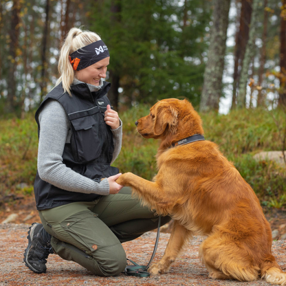 Dog training vest