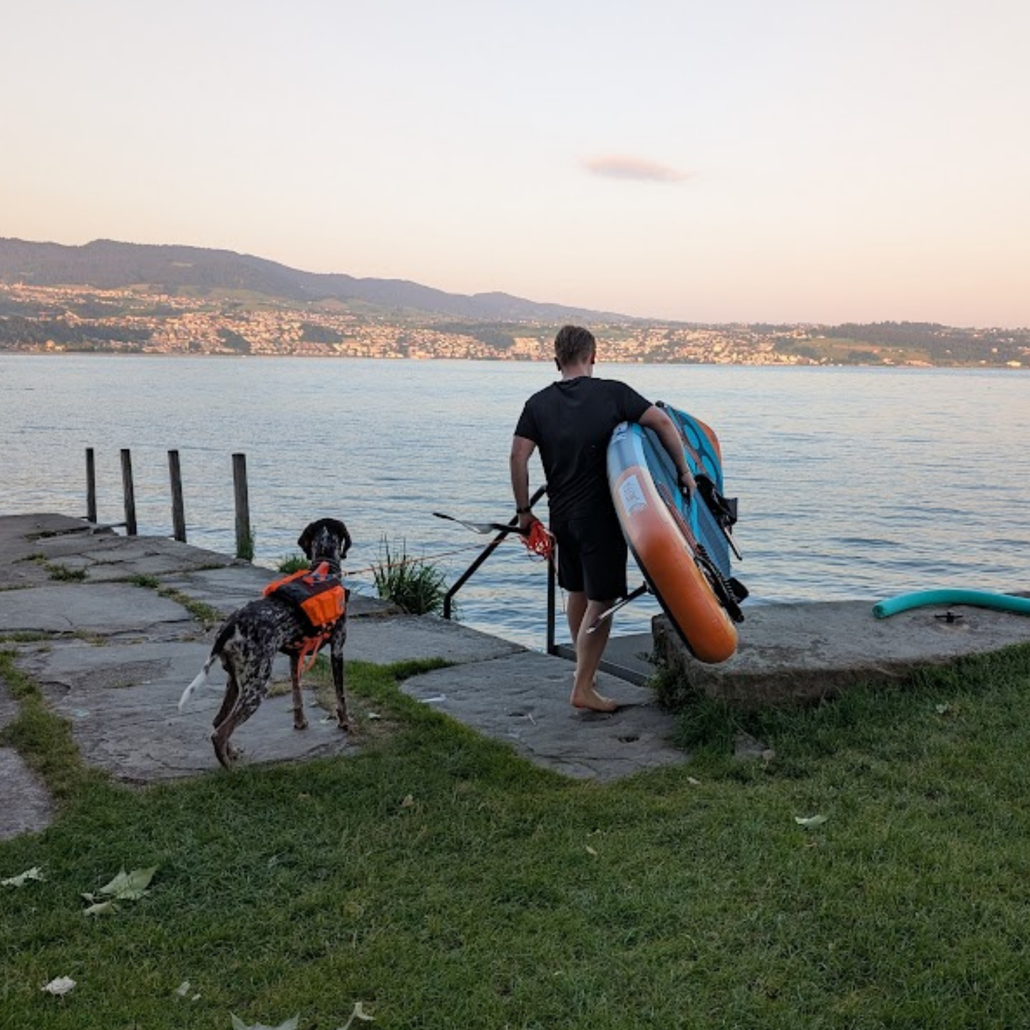 Protector life jacket