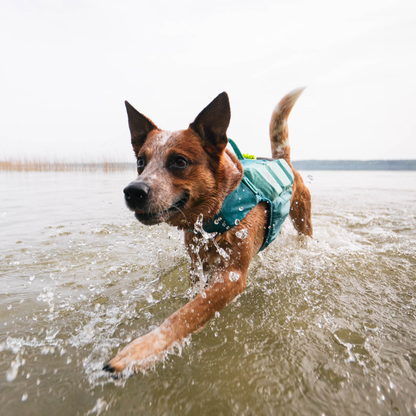 Protector life jacket