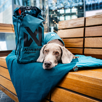 Trekking dog bed