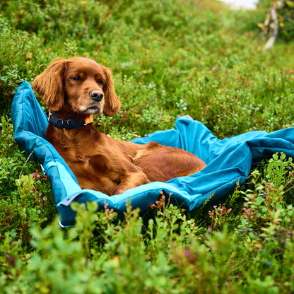 Trekking dog bed