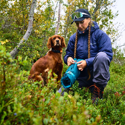 Trekking dog bed