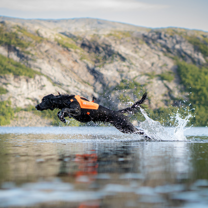 Protector neoprene vest