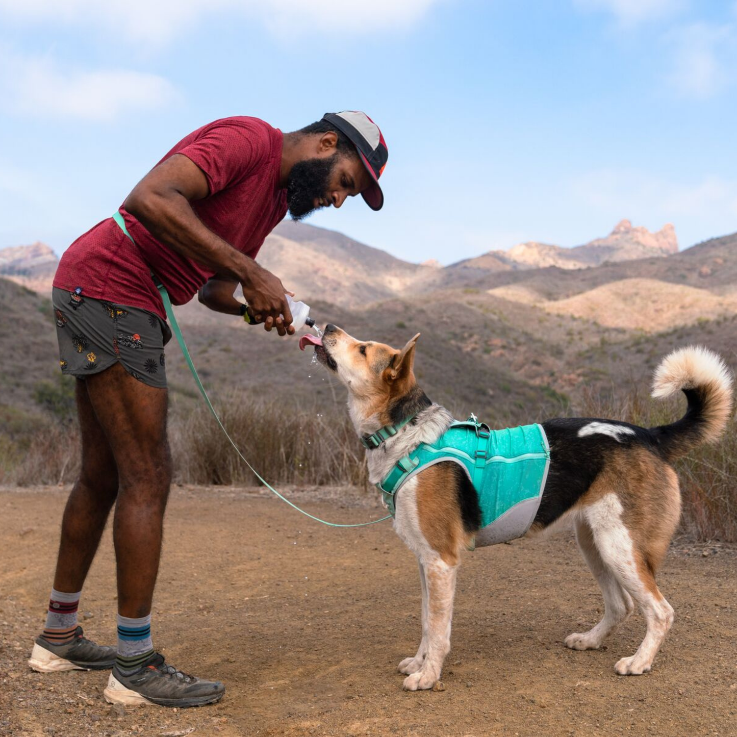 Swamp Cooler Zip™ Cooling Dog Vest