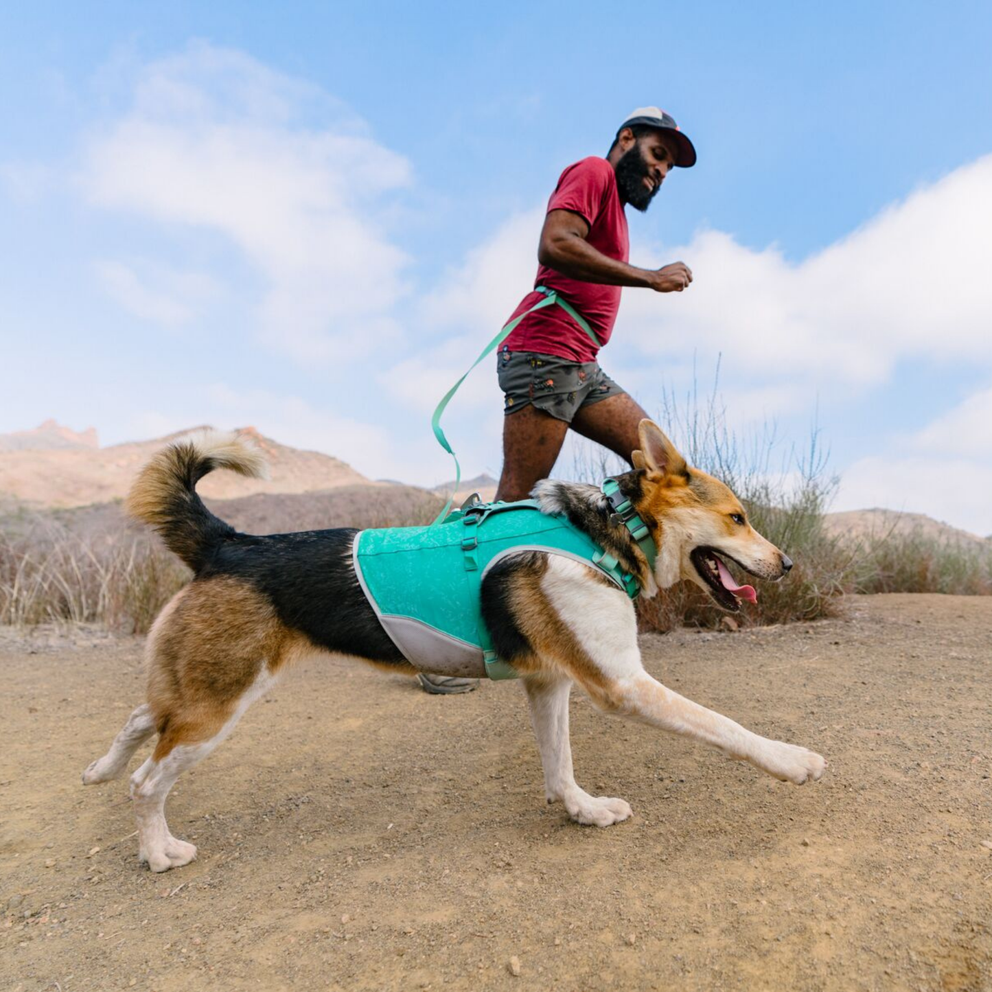 Swamp Cooler Zip™ Cooling Dog Vest
