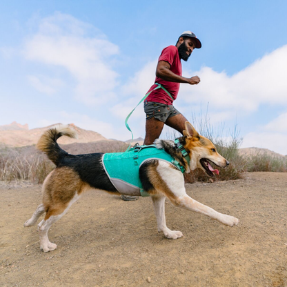 Swamp Cooler Zip™ Cooling Dog Vest
