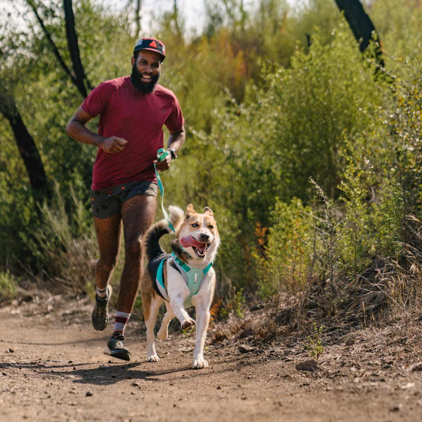 Swamp Cooler Zip™ Cooling Dog Vest