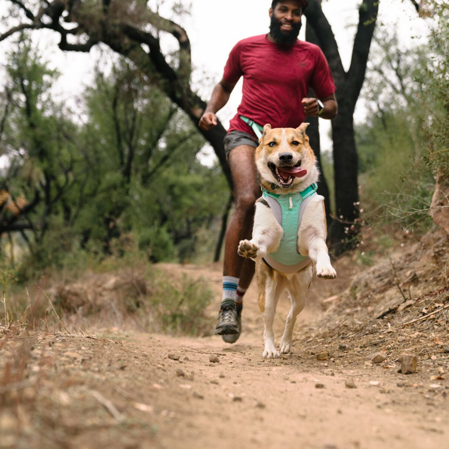 Swamp Cooler Zip™ Cooling Dog Vest