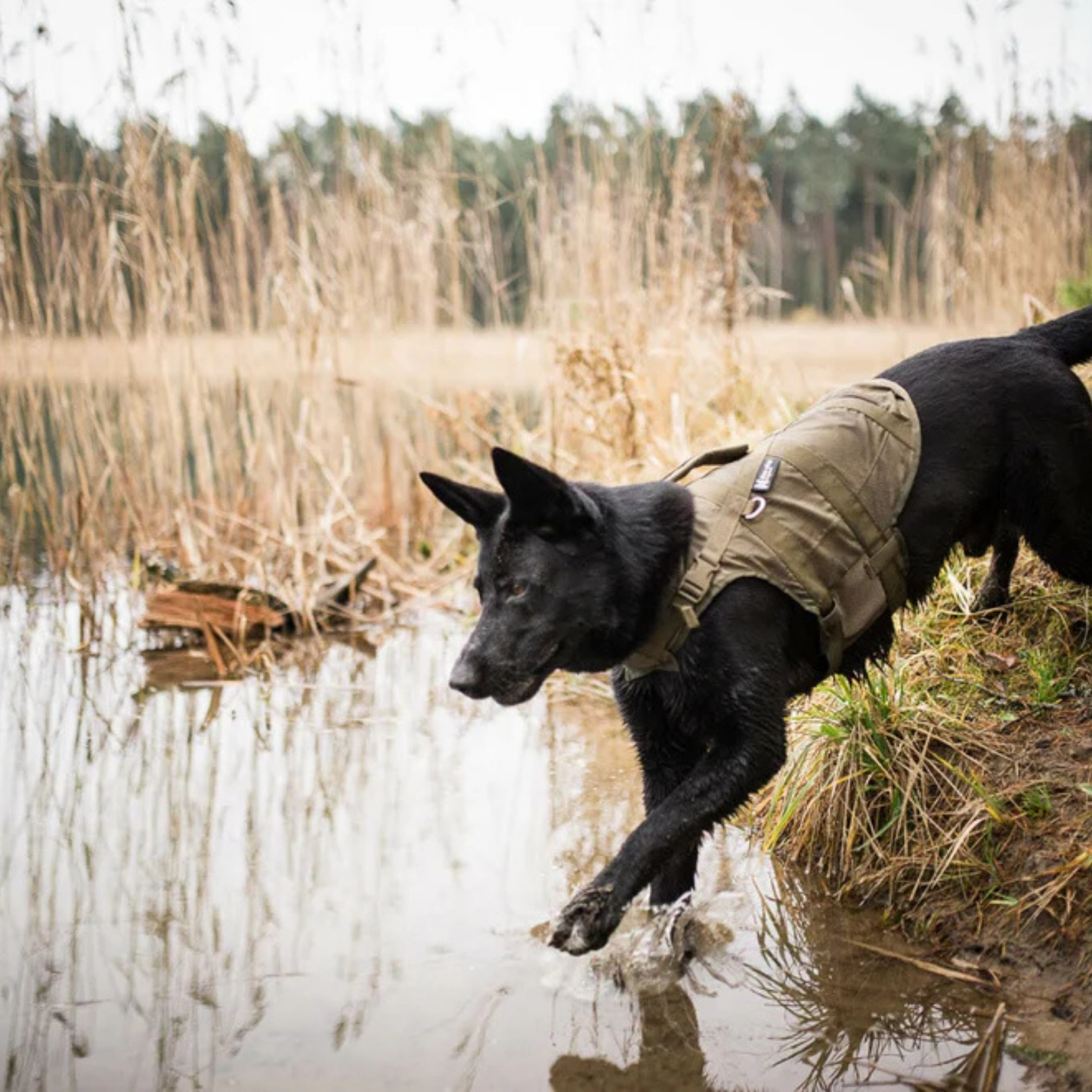 Safe life vest defense | Outlet