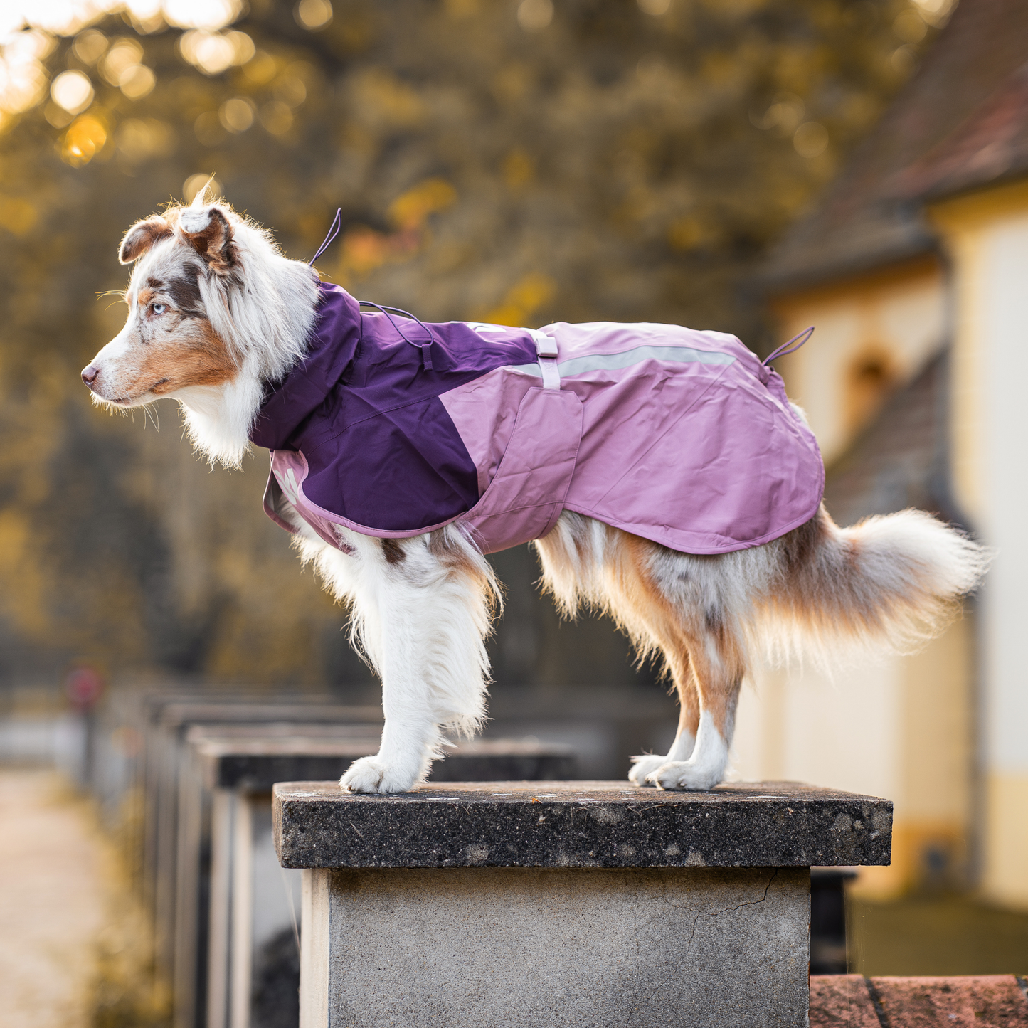 Fjord raincoat 2.0