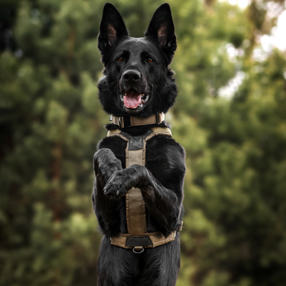 Line harness grip WD