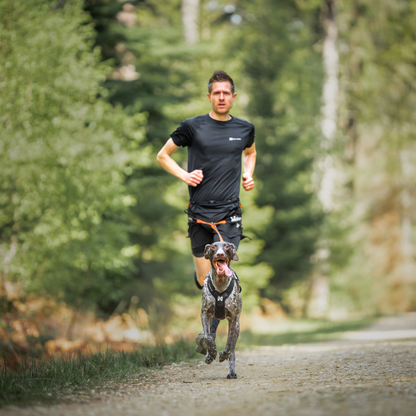 Freemotion harness pro