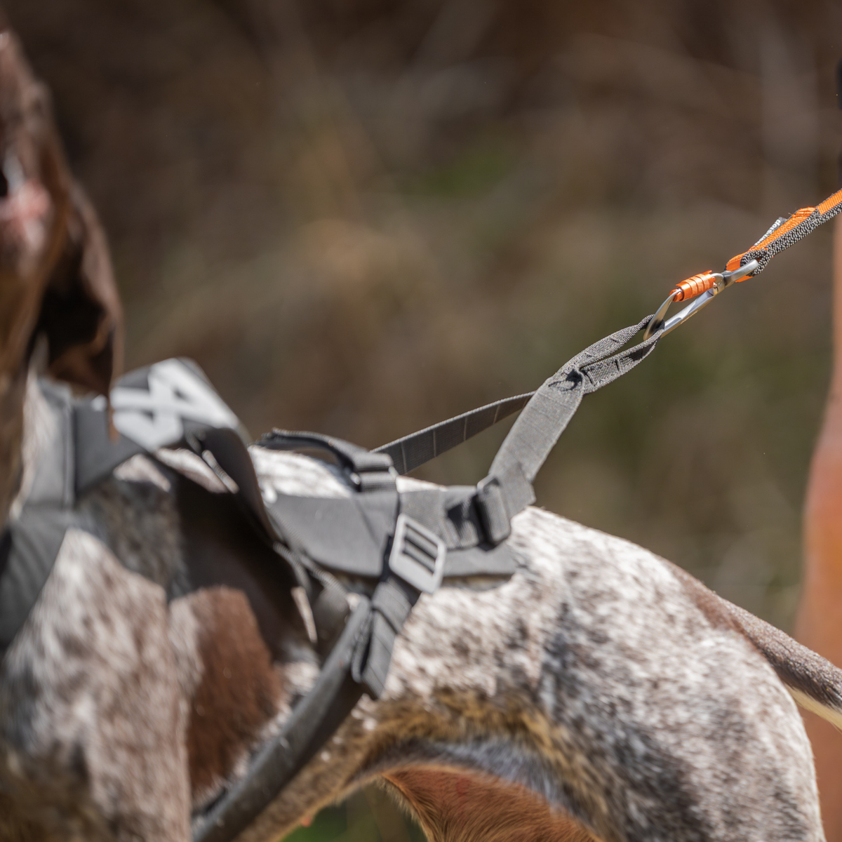 Freemotion harness pro
