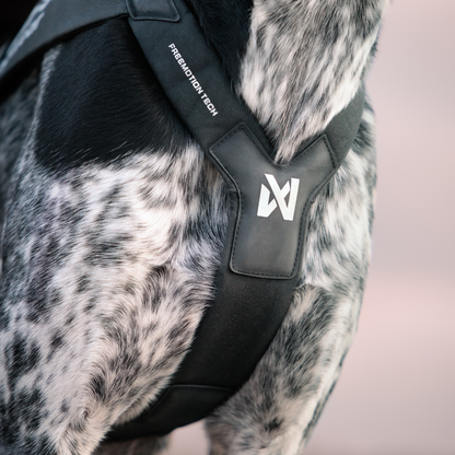 Freemotion harness pro