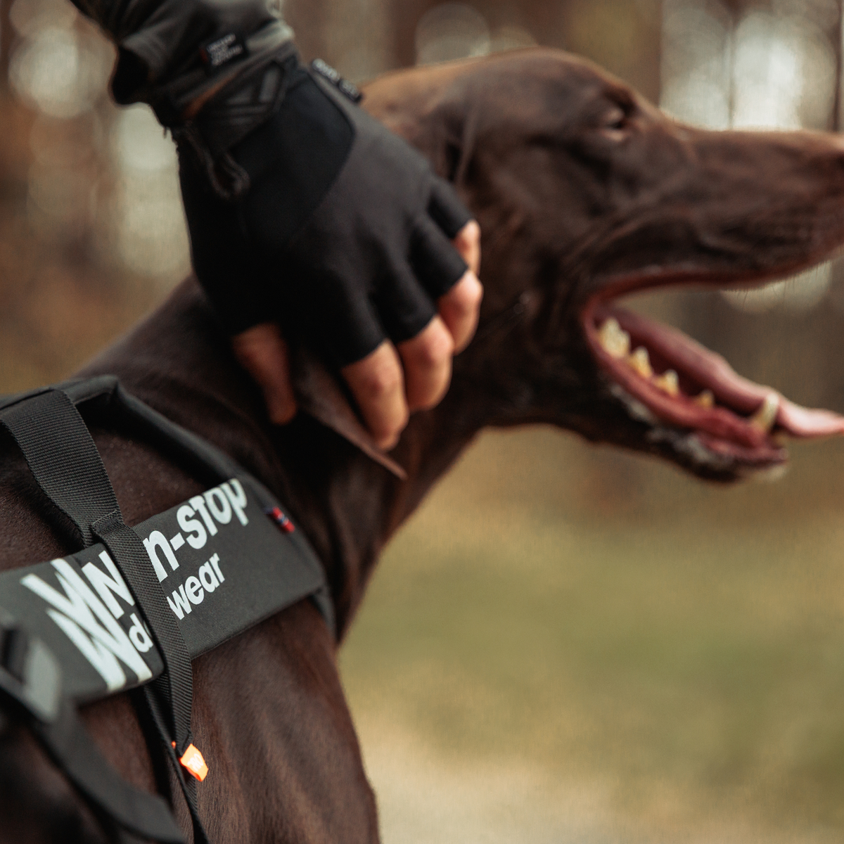 Freemotion harness pro