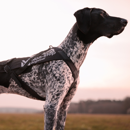 Freemotion harness pro