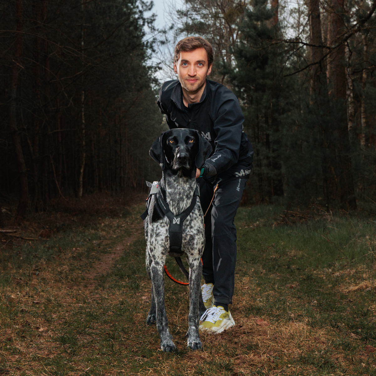 Freemotion harness pro