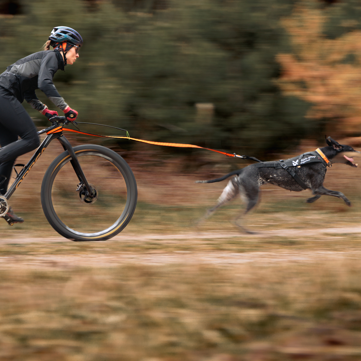 Freemotion harness pro