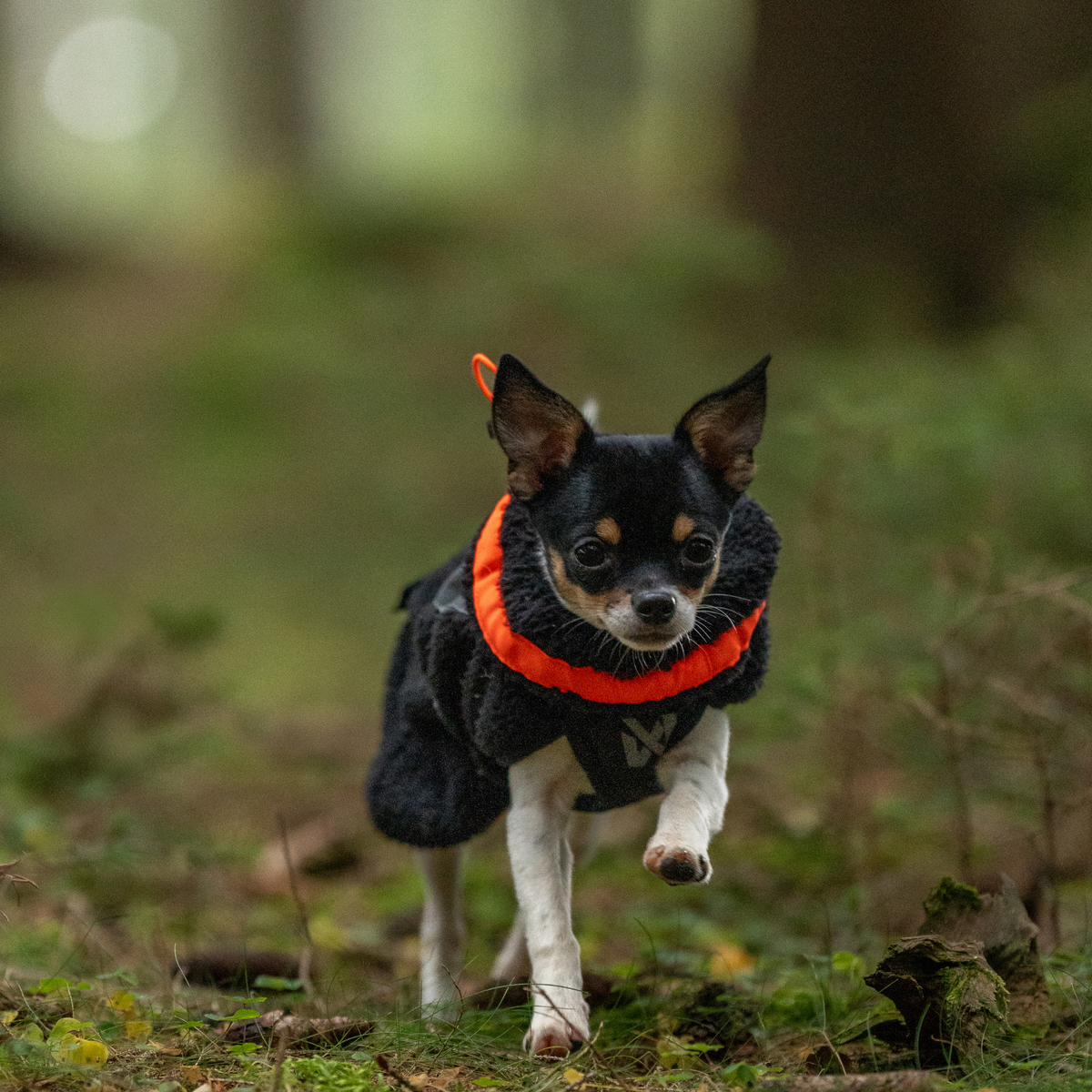 Trekking fleece jacket