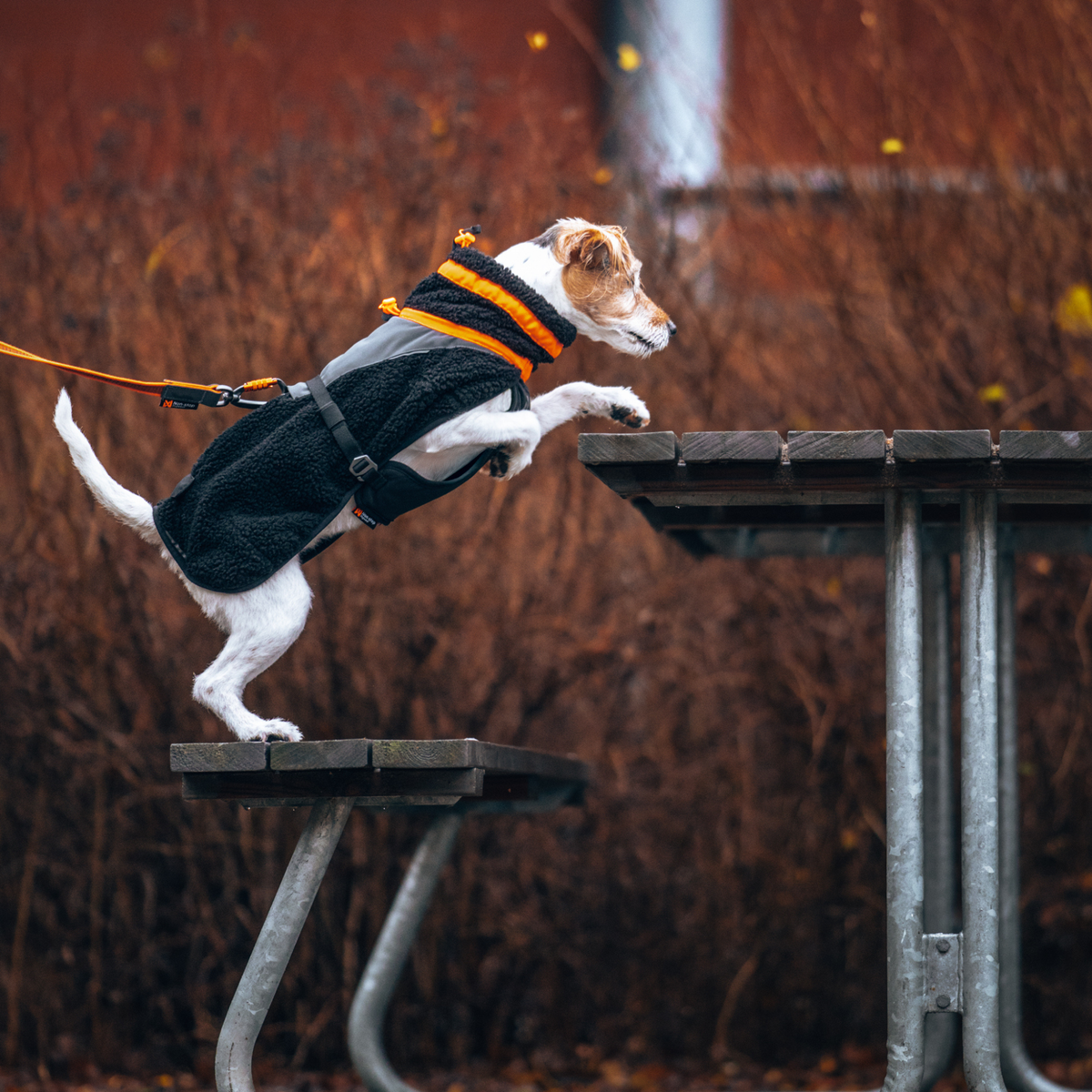 Trekking fleece jacket