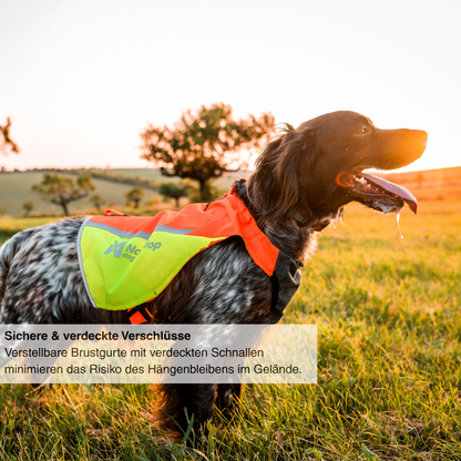 Protector Vest 2.0