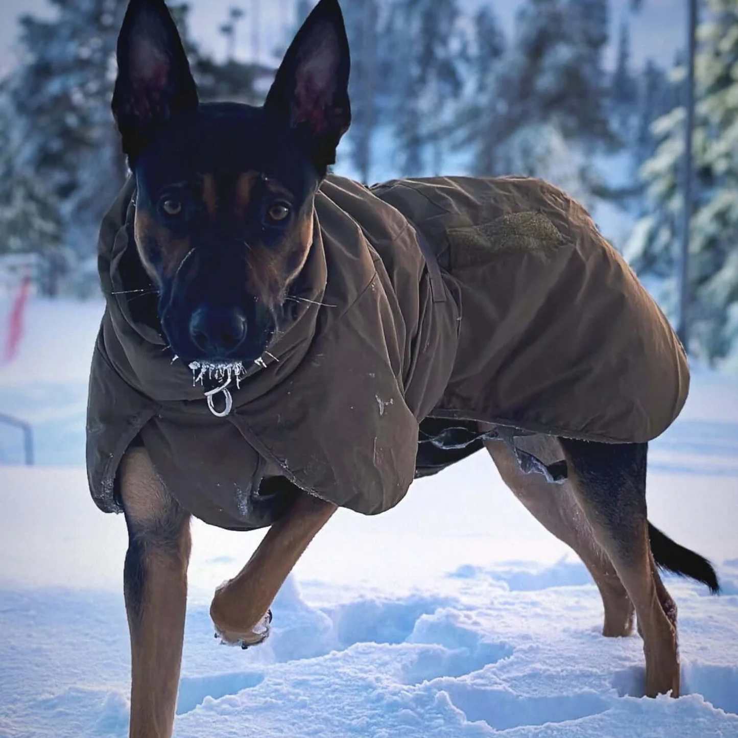 Glacier Jacket 2.0 Defense | Outlet