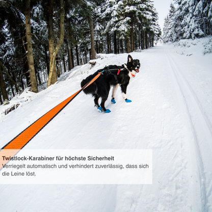 Bungee leash