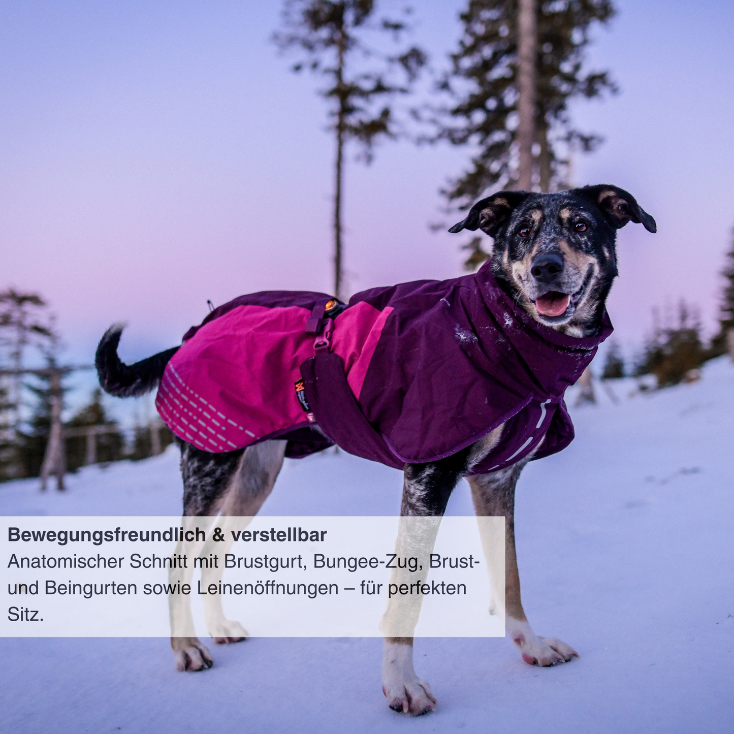 Glacier jacket 2.0