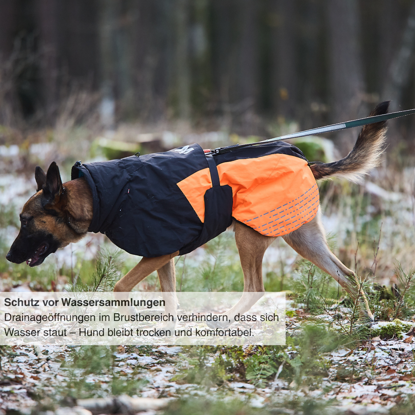 Glacier jacket 2.0