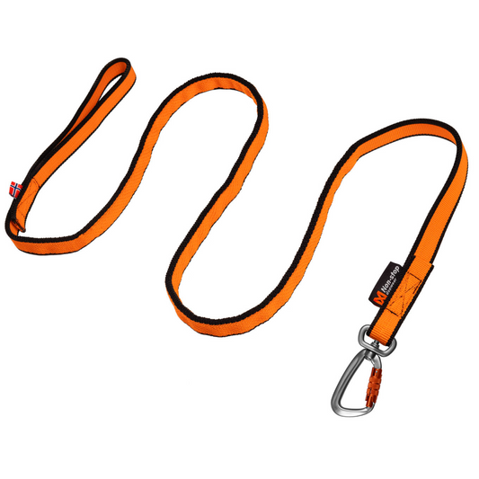 Bungee leash